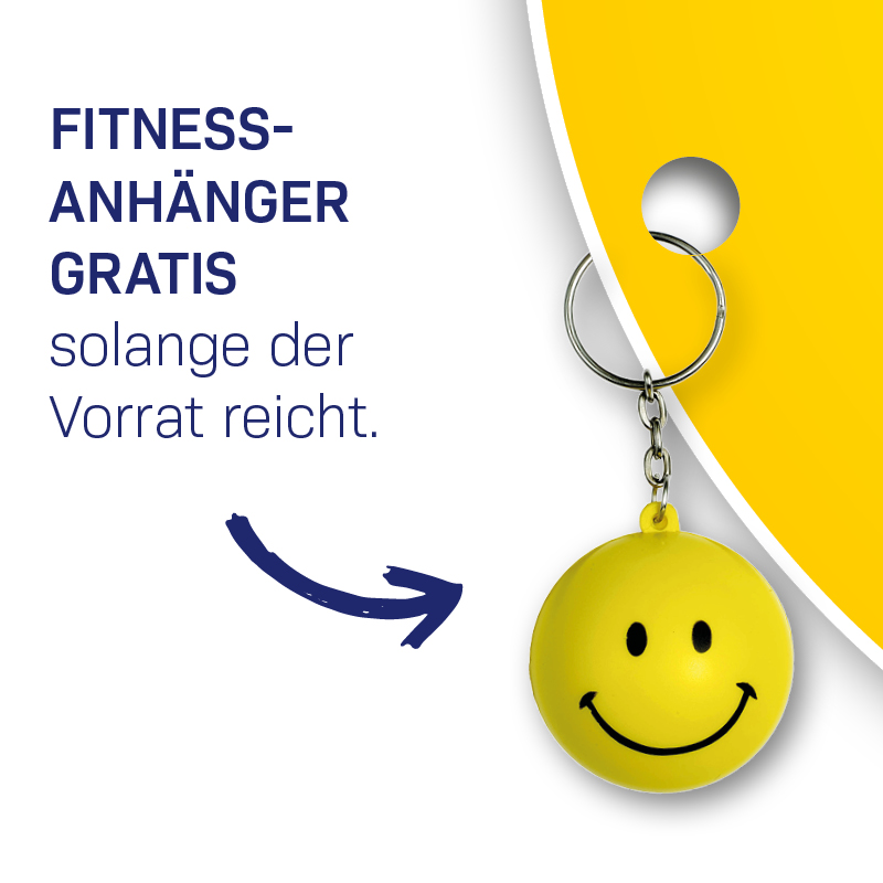 anhaengerbild2